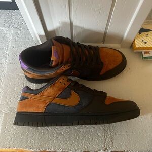 Nike dunk CIDER size 12